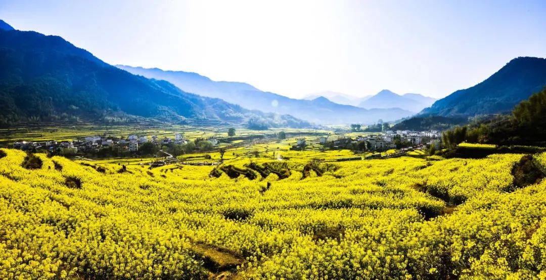 e25f94c9232cec1a80a1d77cc9c3afa4